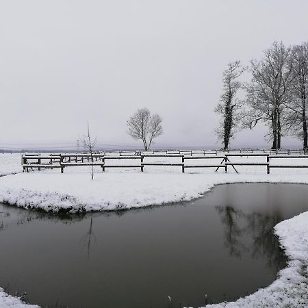 L'Ancyze Pensionat Le Torp-Mesnil Exteriör bild