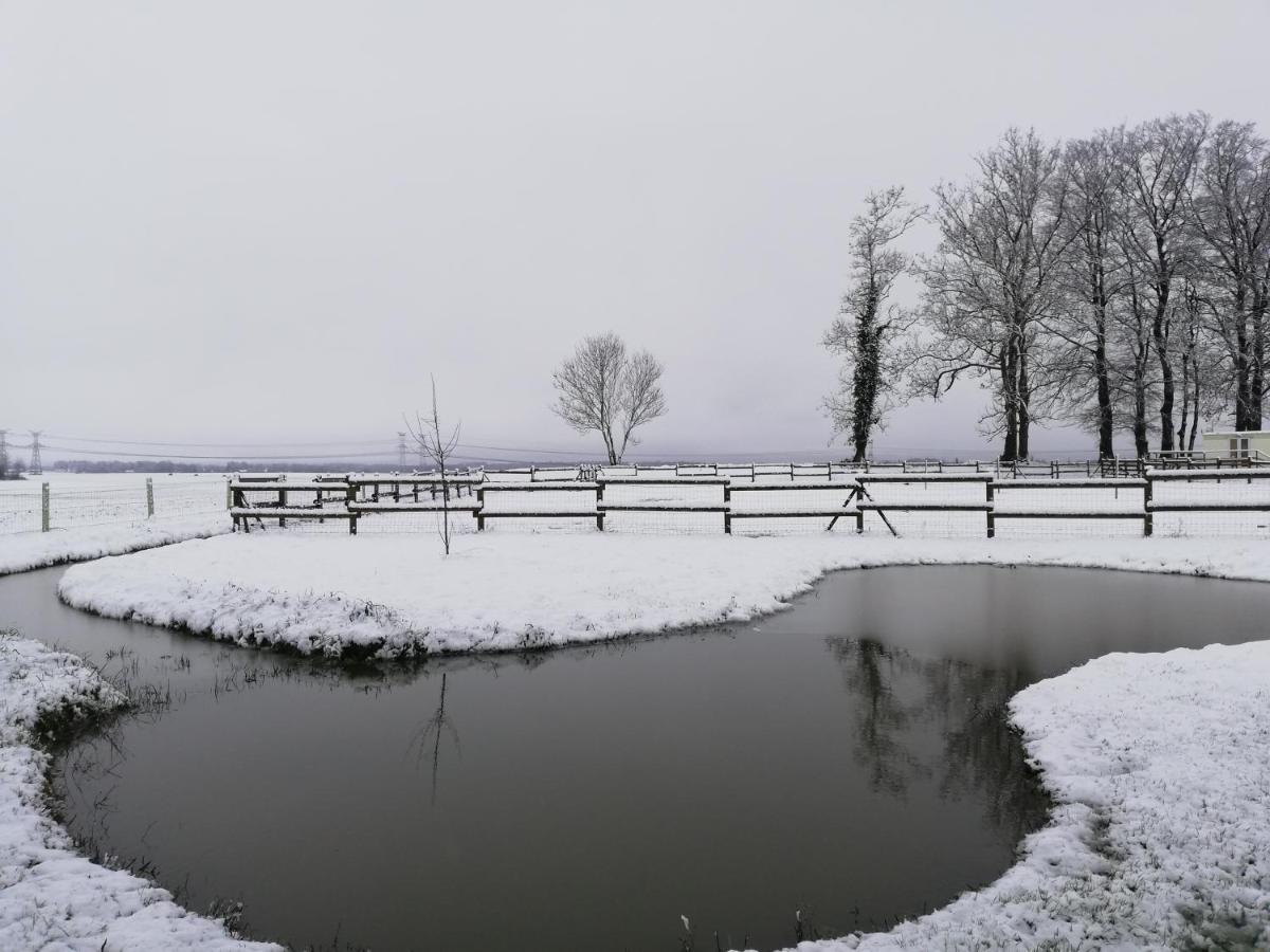 L'Ancyze Pensionat Le Torp-Mesnil Exteriör bild