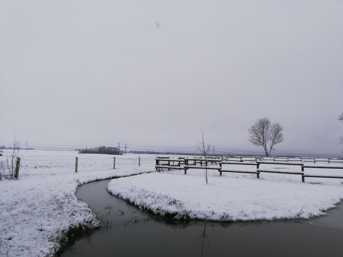 L'Ancyze Pensionat Le Torp-Mesnil Exteriör bild